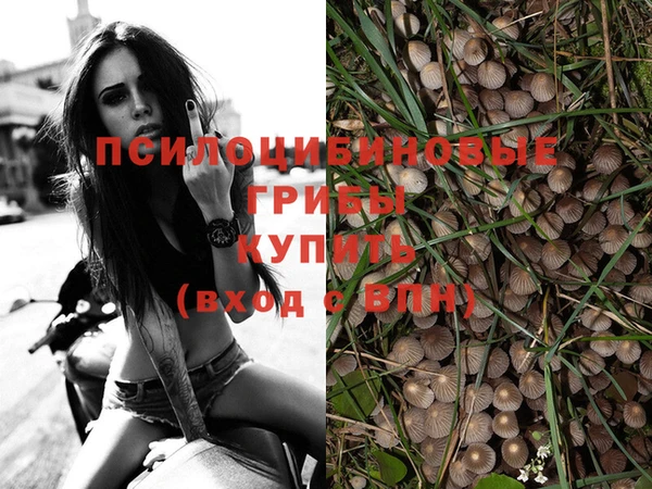 кокс Алзамай