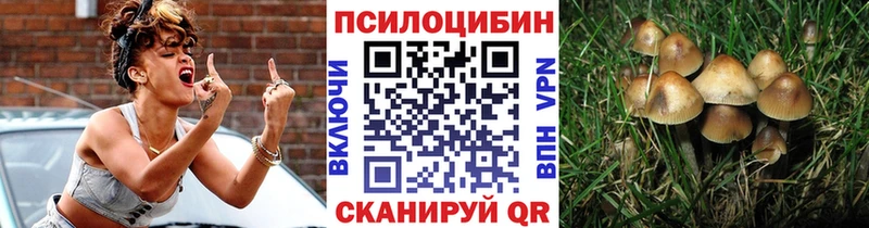 цена Лахденпохья Галлюциногенные грибы мицелий